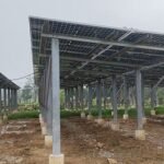 Thenhi becomes first solar village in Chhattisgarh’s Dhamtari, residents rejoice over benefits