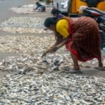 How PM-MKSSY is insuring India’s Blue Economy