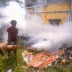 Dengue, swine flu cases surge in Tamil Nadu; doctors urge vigilance ahead of monsoon