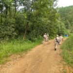 Two women among four killed in suspected militant attacks in Manipur
