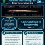 New conger eel species from Arabian Sea named after CMFRI