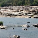 Cauvery row: Karnataka to move Supreme Court against order to release 6,000 cusecs to Tamil Nadu