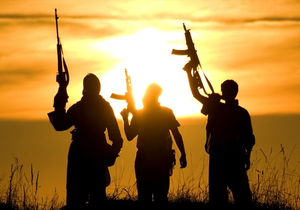 African officials call for stronger protection of critical infrastructure against terrorism