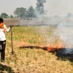 Punjab records 1,007 stubble-burning cases; Tarn Taran tops list with 397 incidents