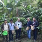 <div>NEC Secretary stresses integrated approach to boost coffee farmers’ income in Nagaland</div>