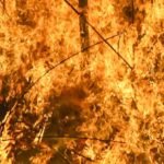 MP: Bus catches fire near Ujjain after tyre burst, passengers escape unhurt