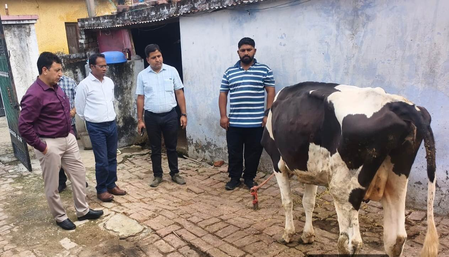 J&K: Central team visits areas affected by animal LSD
