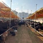 Gujarat provides Rs 162 crore dairy aid to over 29,500 tribal women in 3 years