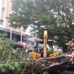 Cyclone ‘Arnab’ makes landfall, heavy rain lashes coastal Andhra